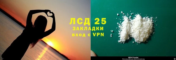 индика Снежногорск