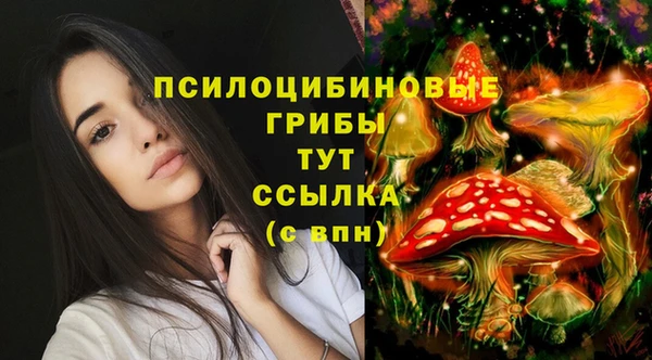 MDMA Premium VHQ Волосово